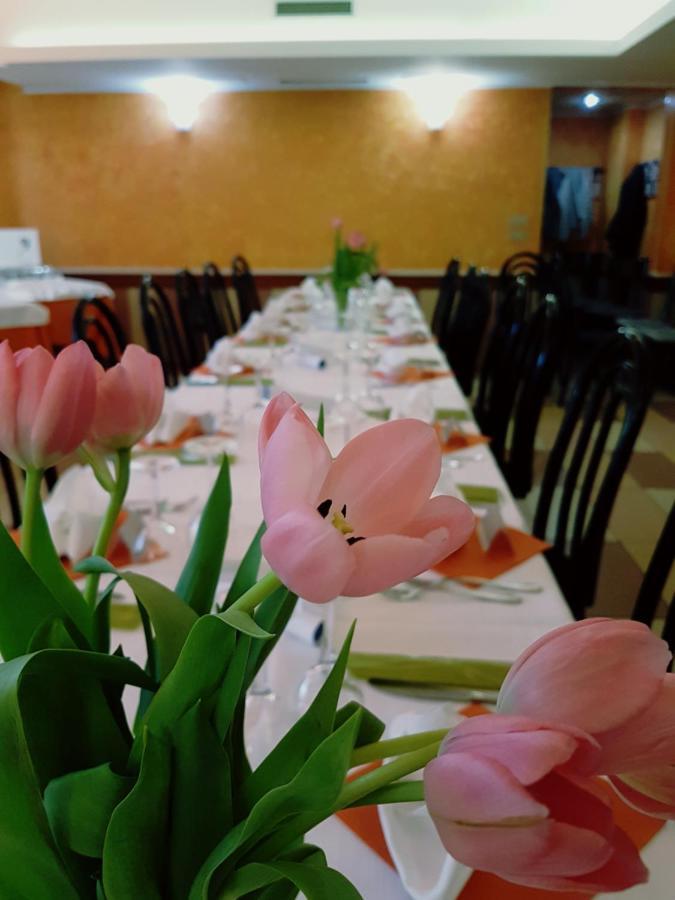 Albergo Ristorante Il Delfino Novara Dış mekan fotoğraf